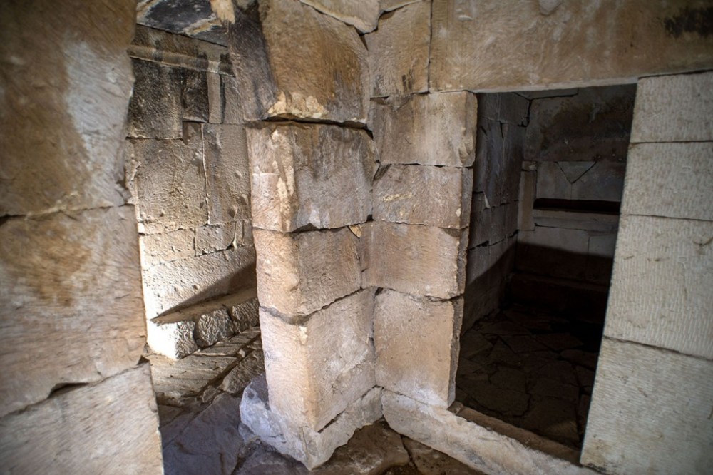 peal-de-becerro-c%e2%94%9cimara-de-toya-2-1024x683