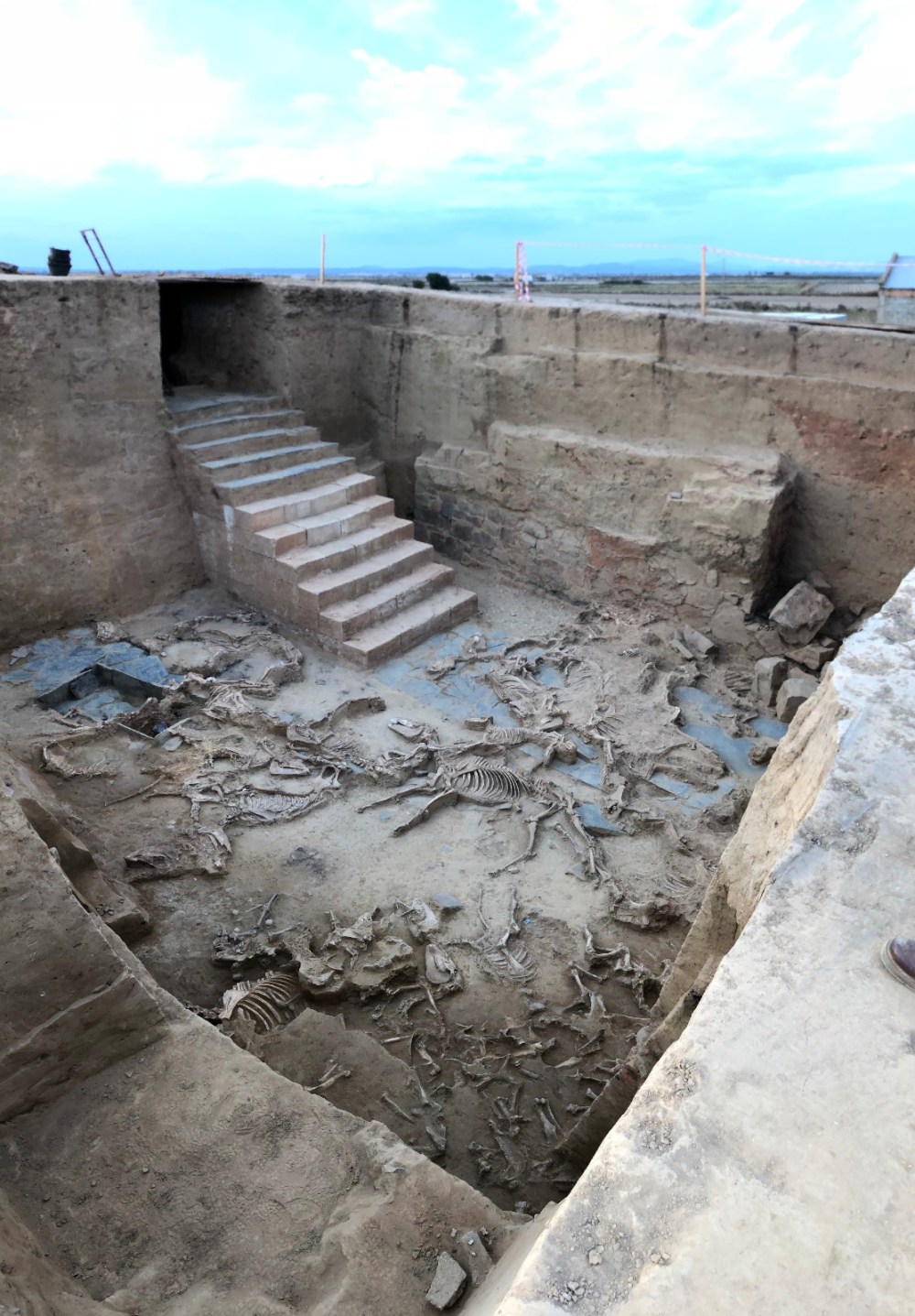 f9ed344c-50a4-4177-9e5b-2767625f3bb2